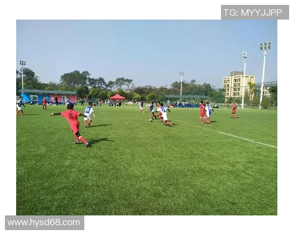 南京足球队的转型之路：从传统强队到现代足球的深度解析